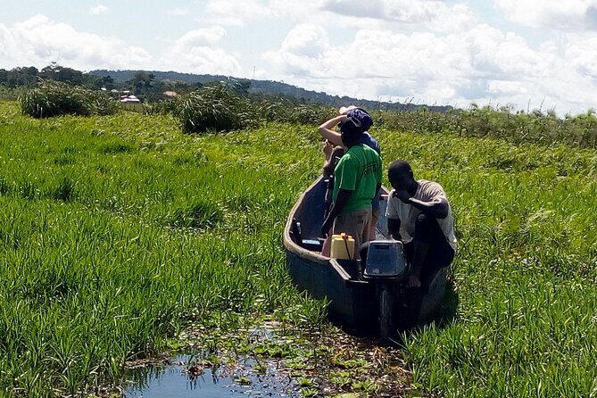Shoebill stock tracking experience at Mabamba - Introduction