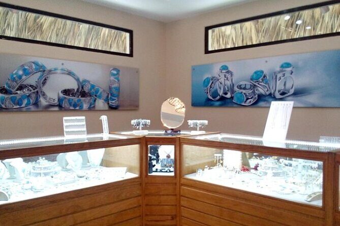 Shopping Tour Punta Cana with private transportation - Who This Tour Is Perfect For