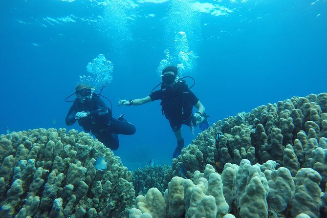 Shore Discover SCUBA Diving/Introductory Diving - One Dive - The Itinerary in Detail