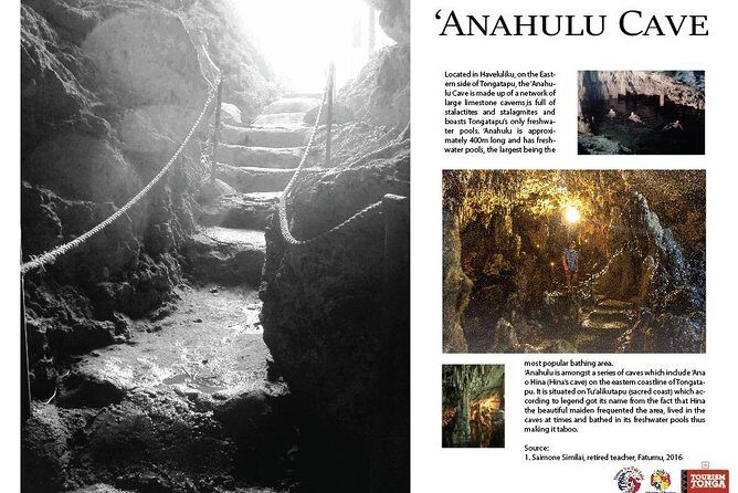 Shore Excursion: 3-Hour Tongatapu East Coast and Anahulu Cave Tour - Who Will Appreciate This Tour?