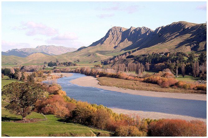 Shore Excursion: 4-Hour Discover Hawkes Bay and Napier Tour - The Sum Up