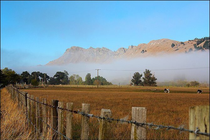 Shore Excursion: 4-Hour Discover Hawkes Bay and Napier Tour - FAQ