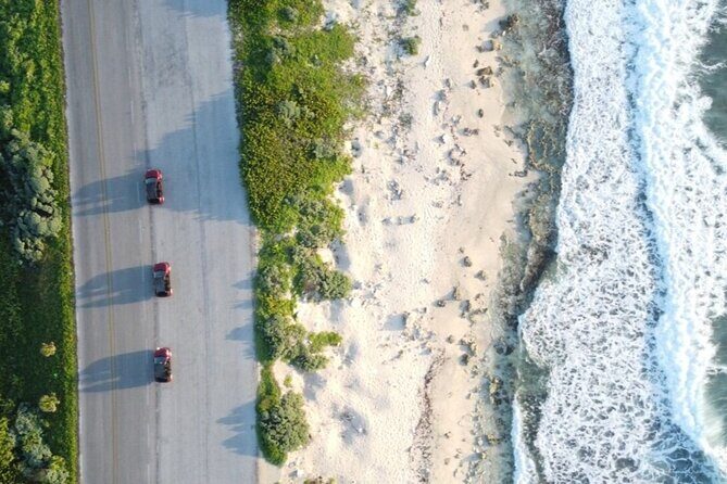 Shore Excursion: Buggy Tour, Punta Sur Park & Beach Relaxation - Who Will Love This Tour?