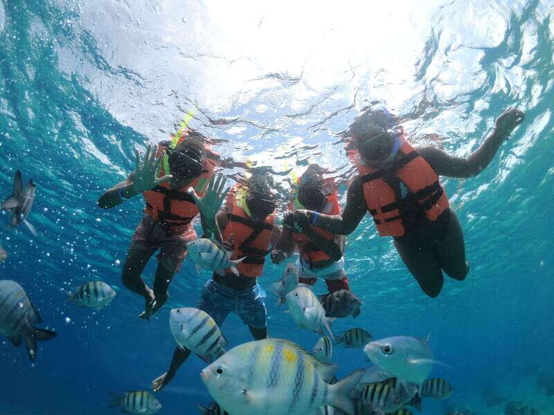 Shore Excursion: Clear Boat Tour with Snorkel & Drinks - Why This Tour Might Be Perfect for You