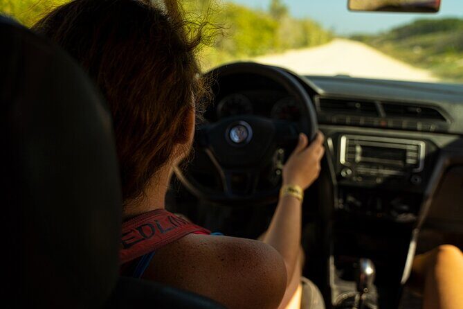 Shore Excursion: Cozumel Buggy Tour, Beach Visit & Mexican Lunch - End of the Tour: Free Time and Return