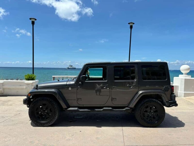 Shore Excursion: Cozumel Island Jeep Tour with Beach Visit - Who Will Love This Tour?