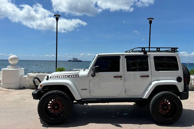 Shore Excursion: Cozumel Jeep Ride and Beach Visit - Who This Tour Is Perfect For