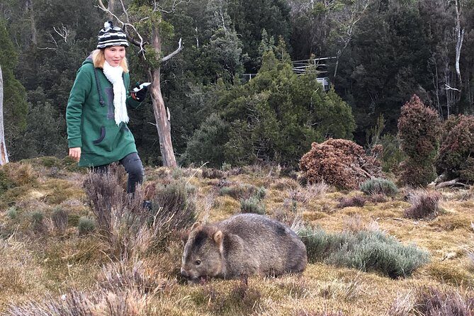 Shore Excursion - Cradle Mountain Shuttle Bus from Burnie - The detailed experience