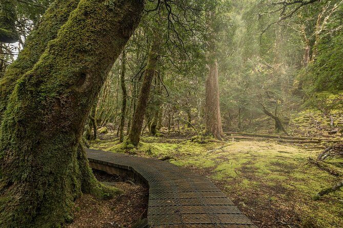 Shore Excursion - Cradle Mountain Shuttle Bus from Burnie - Who should consider this tour?