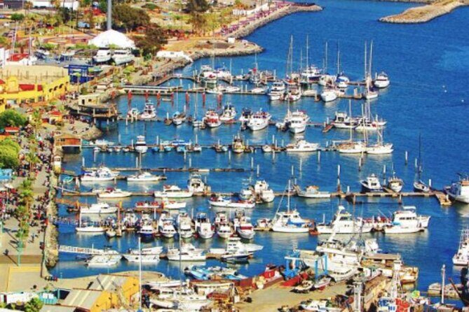 Shore Excursion Ensenada: Tuk Tuk and Horseback Beach Ride - Real Traveler Insights