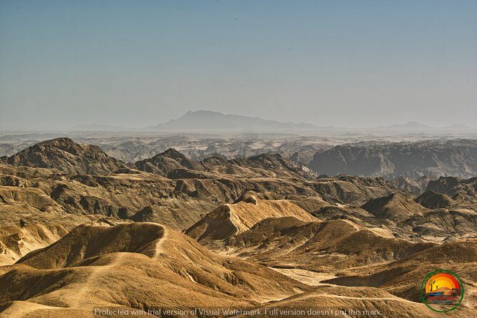 Shore Excursion - Flamingos ,Dune7,Welwitschia, Moonlandscape,Oasis,Swakopmund. - The Sum Up: Who Is This Tour Best For?