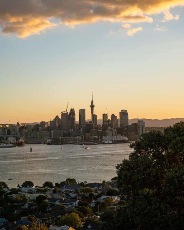 Shore Excursion from Auckland - Private Tour & Wine Tasting - A Full Breakdown of the Experience