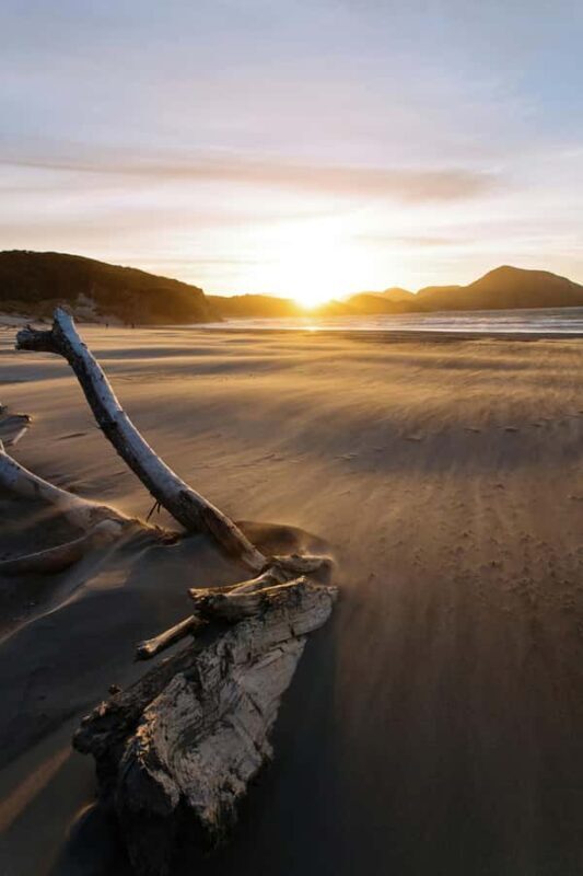 Shore Excursion from Auckland - Private Tour & Wine Tasting - FAQ