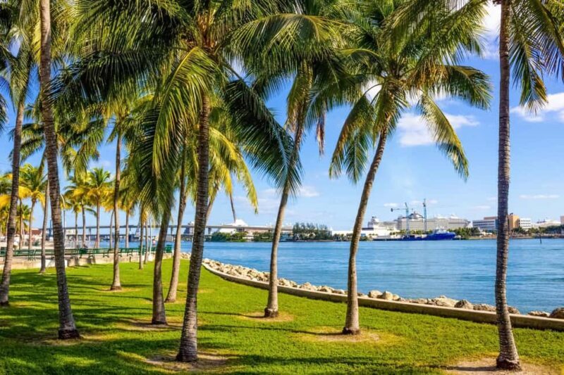 Shore Excursion from Port of Miami: City and Cruise Tour - Key Points