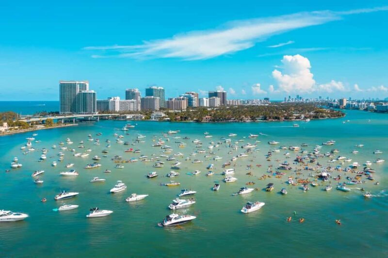 Shore Excursion from Port of Miami: City and Cruise Tour - Practical Details and Value