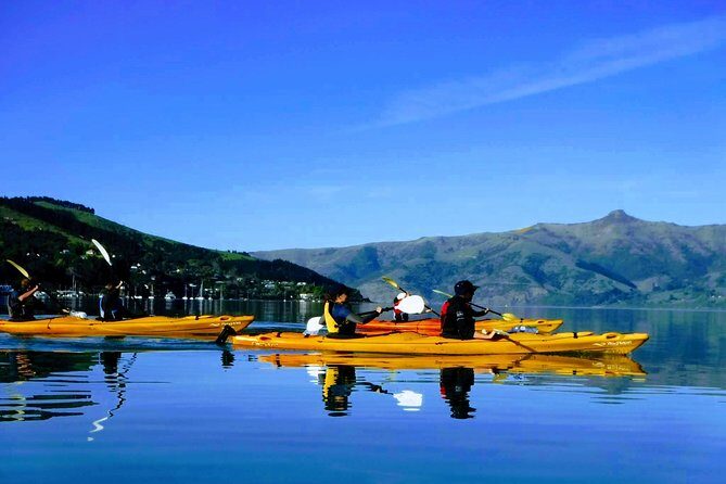 Shore Excursion Guided Sea Kayaking through Akaroa Marine Reserve - Who Will Love This Tour?