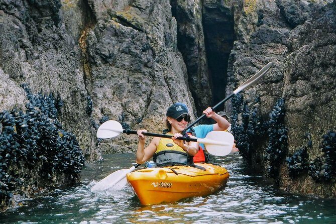 Shore Excursion Guided Sea Kayaking through Akaroa Marine Reserve - Key Points
