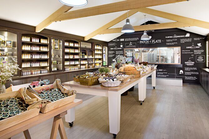Shore Excursion: Hahndorf & Barossa Valley including Lunch - Who Should Consider This Tour?