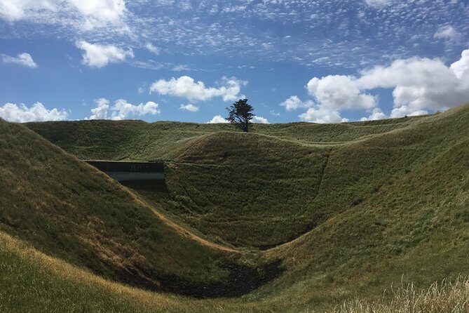 Shore Excursion: Half-Day Auckland Volcanoes Tour - What Makes This Tour Special?