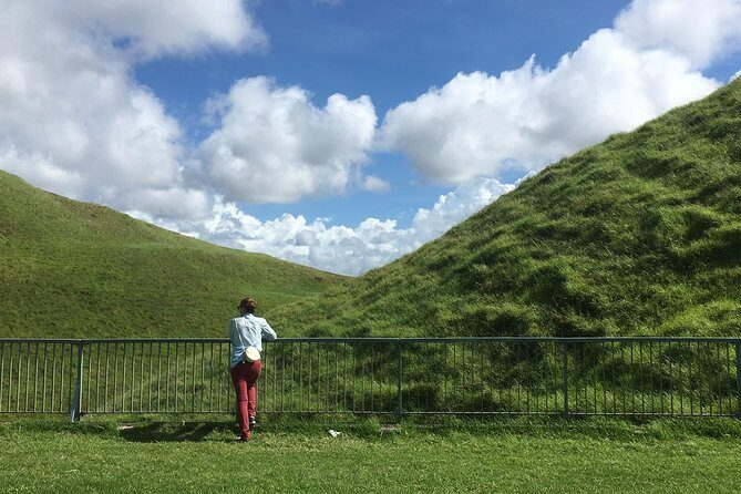 Shore Excursion: Half-Day Auckland Volcanoes Tour - The Sum Up: Who Will Love This Tour?
