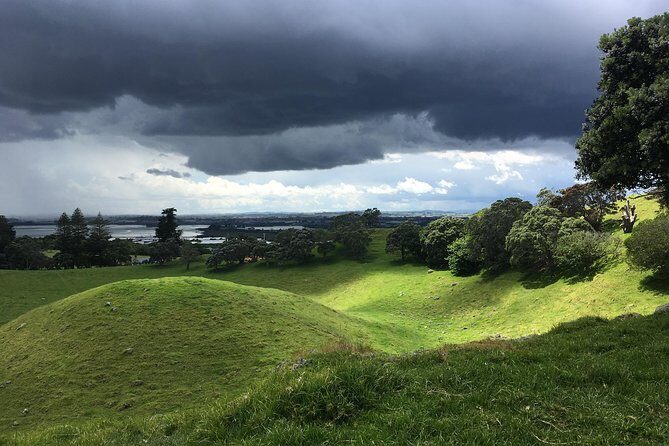 Shore Excursion: Half-Day Auckland Volcanoes Tour - Additional Information & Tips