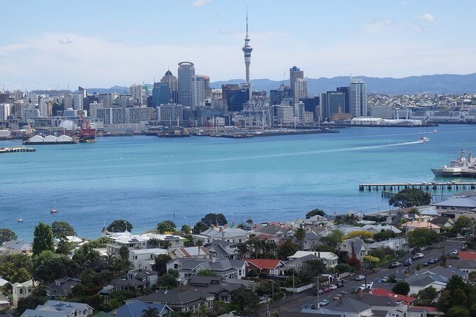 Shore Excursion: Half Day Small Group Auckland Scenic Tour - 4 HOURS - Key Points