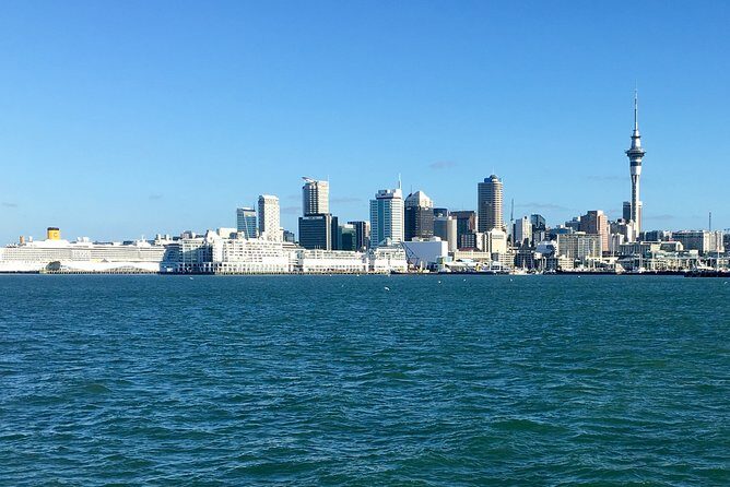 Shore Excursion: Half Day Small Group Auckland Scenic Tour - 4 HOURS - Who Should Consider This Tour?