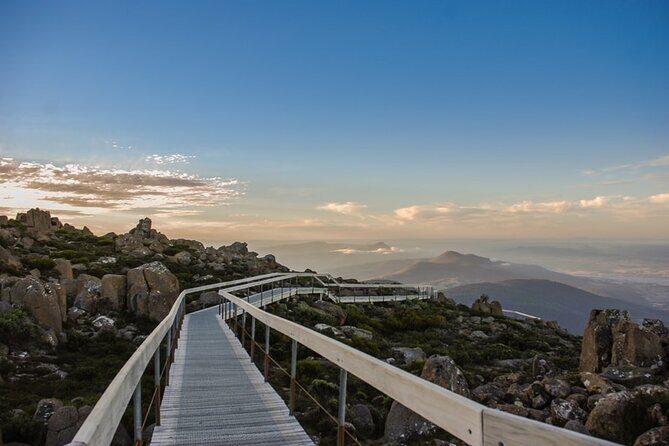 Shore Excursion: Hobart Highlights Day Tour - What the Reviews Say