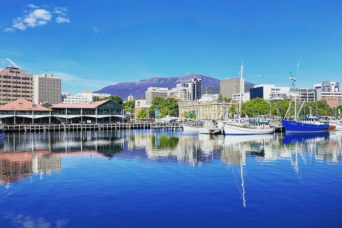 Shore Excursion: Hobart Highlights Day Tour - Who Should Book This Tour?