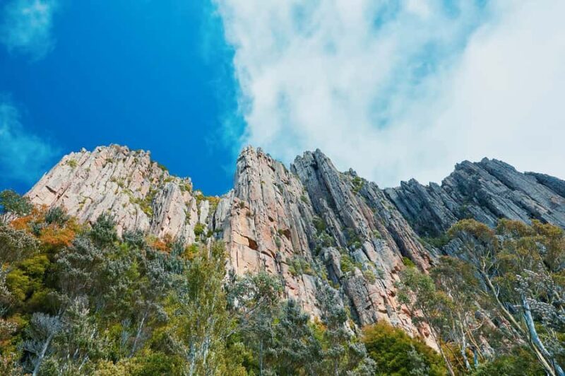 Shore Excursion: Hobart Wanderer - An Introduction to Tasmania’s Diverse Charm