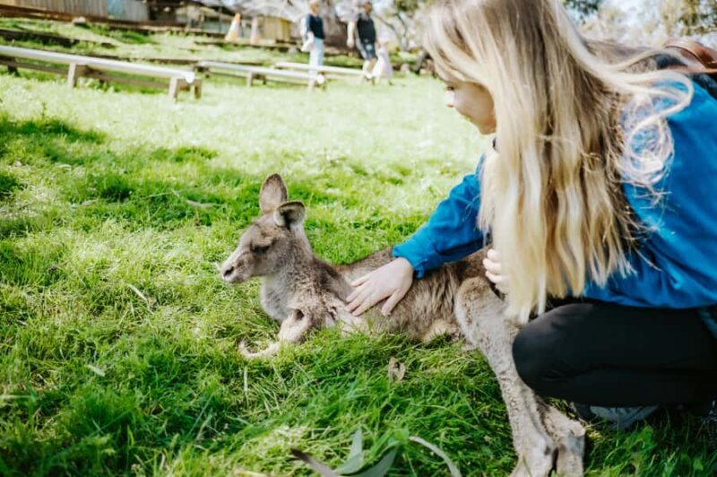 Shore Excursion: Hobart Wanderer - FAQ
