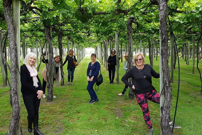 Shore Excursion Marlborough Wine Region Tour from Picton - Final Thoughts