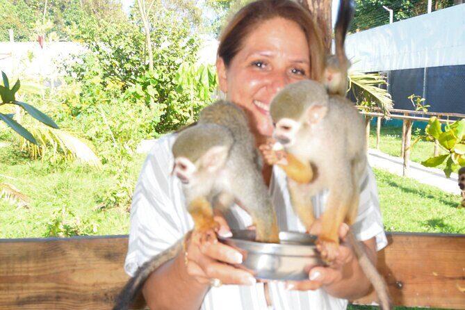 Shore Excursion Monkey Encounter and Puerto Plata City Tour - Price and Value