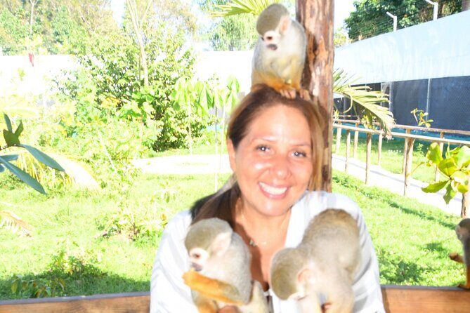 Shore Excursion Monkey Encounter and Puerto Plata City Tour - Final Thoughts