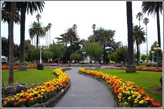 Shore excursion - Napier sight seeing/Art Deco Tour, - Key Points