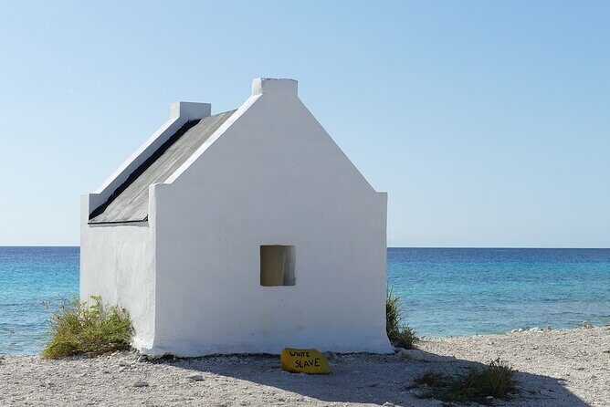 Shore Excursion: North and South Sides of Bonaire - Who Will Love This Tour?