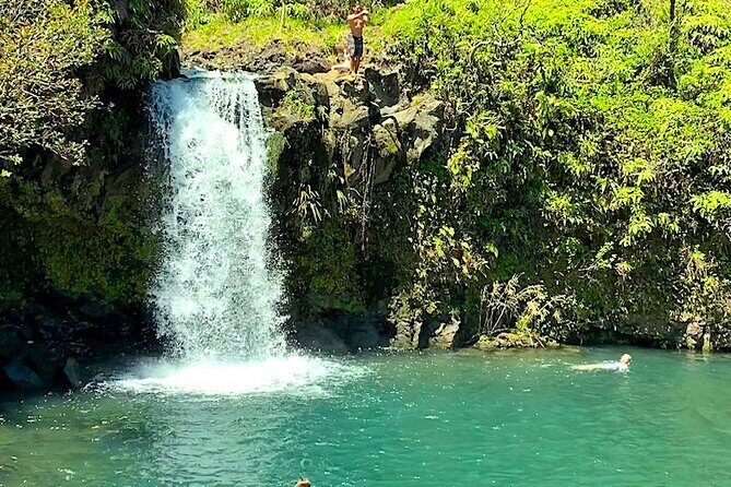 Shore Excursion of Maui - Exploring the Maui Shore Excursion: A Complete Breakdown