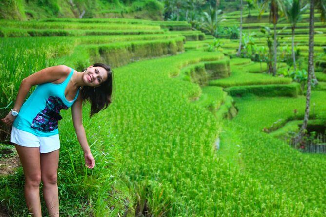 Shore Excursion : Private Tours To Ubud Art village And Surrounding Area - Exploring the Ubud Art Village Tour: A Deep Dive