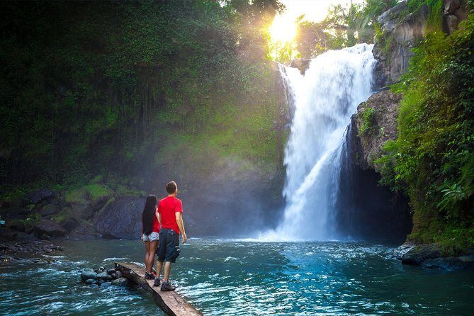 Shore Excursion : Private Tours To Ubud Art village And Surrounding Area - FAQ