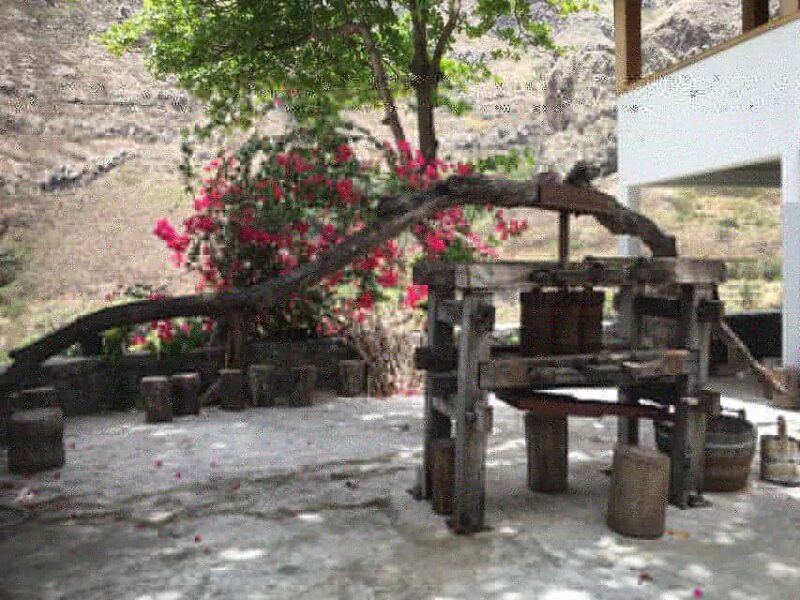 Shore Excursion, Santo Antão, Full Day, Highlights by car - FAQ