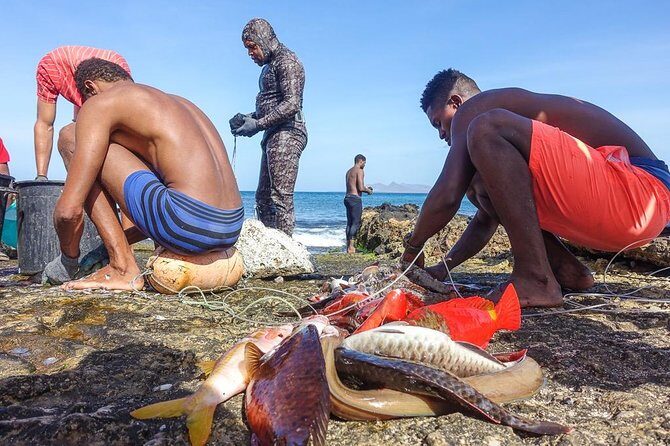 Shore Excursion São Vicente, Mindelo 4h or 6h - Who Would Love This Tour?
