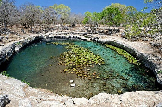 Shore Excursion: The Wonders of Progesso with Beach, Food & Drink - Return to Progreso