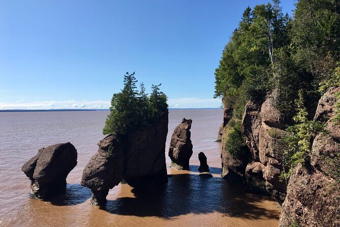 Shore Excursion to Hopewell Rocks and Fundy National Park - The Highlights of the Shore Excursion