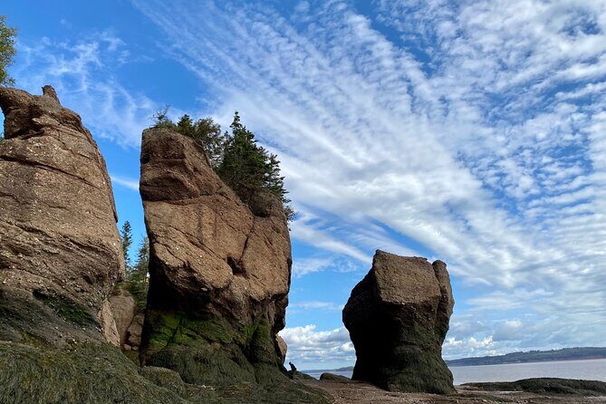 Shore Excursion to Hopewell Rocks and Fundy National Park - Alma: Coastal Charm and Local Flavors