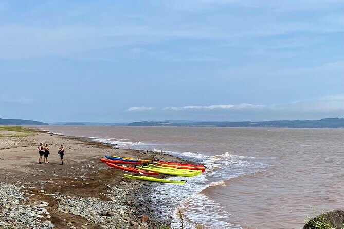 Shore Excursion to Hopewell Rocks and Fundy National Park - What Past Travelers Say
