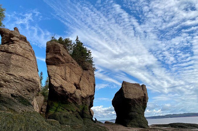 Shore Excursion to Hopewell Rocks and Fundy National Park - Summary: Is This Tour Worth It?