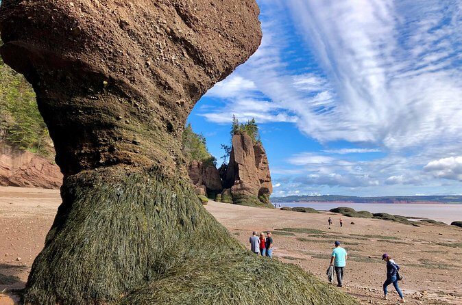 Shore Excursion to Hopewell Rocks and Fundy National Park - FAQs