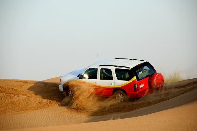 Shore Excursions of Dubai City Tour followed by Desert Safari - The Sum Up: Who Is This Tour Best For?
