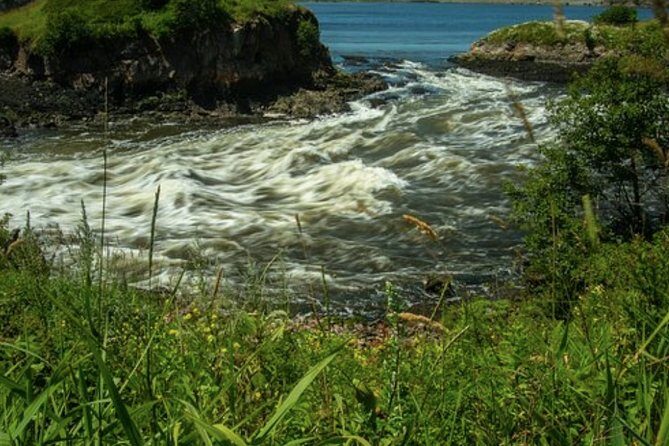 Shore Excursion:Saint John History Walking Tour - What to Expect During the Walk