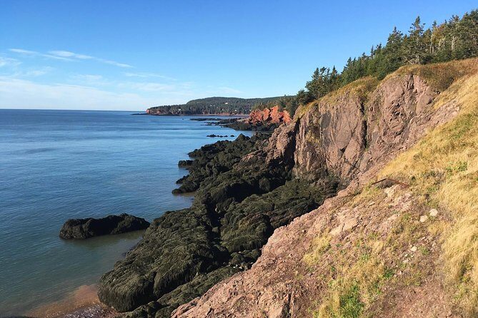 Shore Tours - FAQs